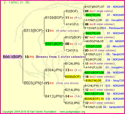 Pedigree of B661(BOP) :
four generations presented
it's temporarily unavailable, sorry!