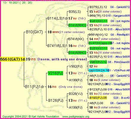 Pedigree of B661(GKT)1dr :
four generations presented
it's temporarily unavailable, sorry!