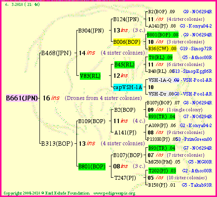 Pedigree of B661(JPN) :
four generations presented<br />it's temporarily unavailable, sorry!