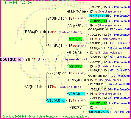 Pedigree of B661(PJ)1dr :
four generations presented
it's temporarily unavailable, sorry!