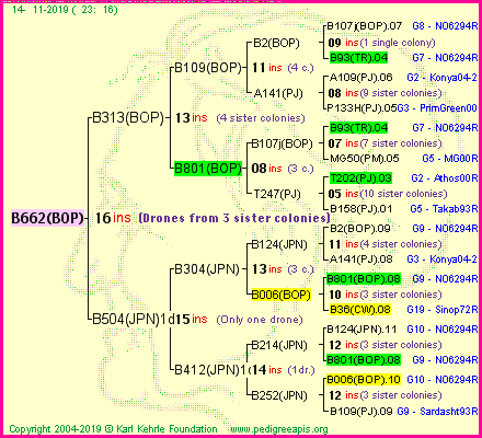 Pedigree of B662(BOP) :
four generations presented<br />it's temporarily unavailable, sorry!