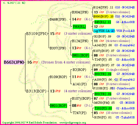 Pedigree of B663(JPN) :
four generations presented