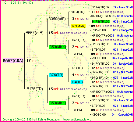 Pedigree of B667(GRA) :
four generations presented
it's temporarily unavailable, sorry!