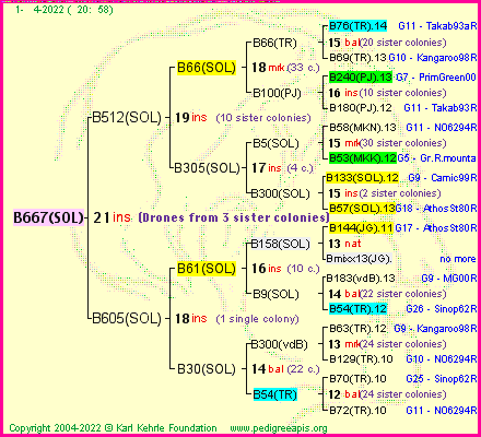 Pedigree of B667(SOL) :
four generations presented
it's temporarily unavailable, sorry!