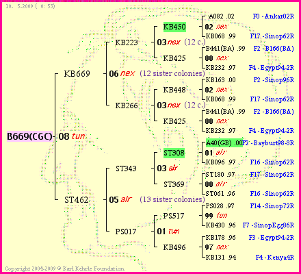 Pedigree of B669(CGC) :
four generations presented