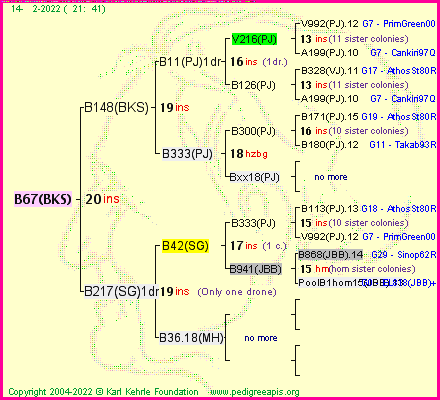 Pedigree of B67(BKS) :
four generations presented
it's temporarily unavailable, sorry!