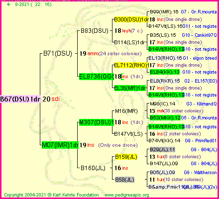 Pedigree of B67(DSU)1dr :
four generations presented
it's temporarily unavailable, sorry!