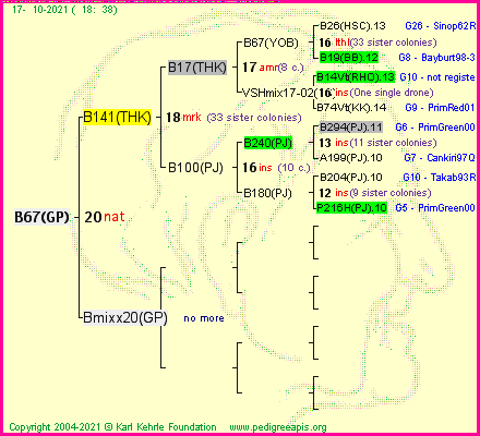 Pedigree of B67(GP) :
four generations presented
it's temporarily unavailable, sorry!