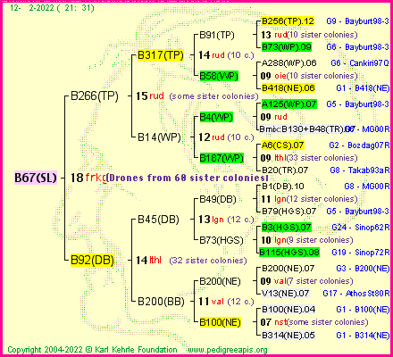 Pedigree of B67(SL) :
four generations presented
it's temporarily unavailable, sorry!