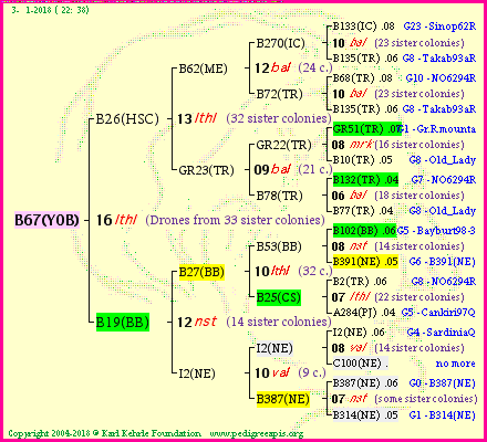 Pedigree of B67(YOB) :
four generations presented<br />it's temporarily unavailable, sorry!