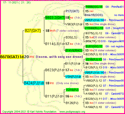 Pedigree of B670(GKT)1dr :
four generations presented
it's temporarily unavailable, sorry!