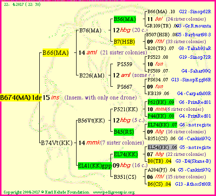 Pedigree of B674(MA)1dr :
four generations presented
it's temporarily unavailable, sorry!