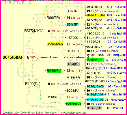 Pedigree of B675(GRA) :
four generations presented<br />it's temporarily unavailable, sorry!