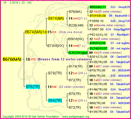 Pedigree of B676(MA) :
four generations presented<br />it's temporarily unavailable, sorry!