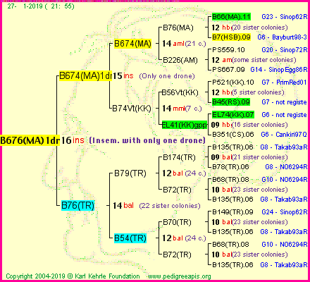 Pedigree of B676(MA)1dr :
four generations presented
it's temporarily unavailable, sorry!