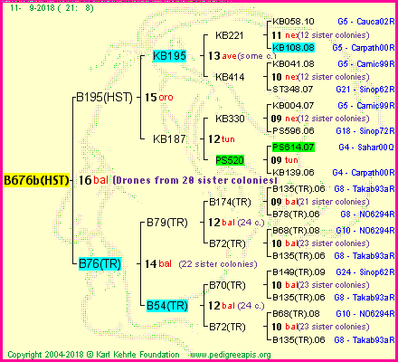 Pedigree of B676b(HST) :
four generations presented