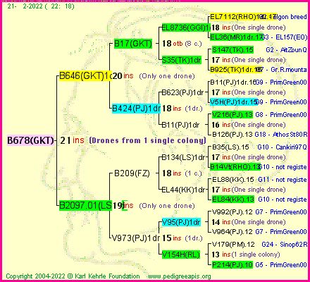 Pedigree of B678(GKT) :
four generations presented
it's temporarily unavailable, sorry!