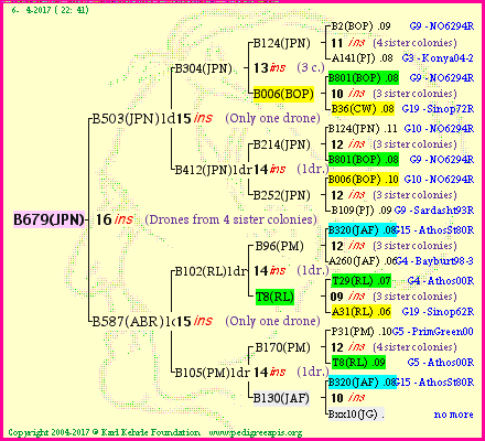 Pedigree of B679(JPN) :
four generations presented