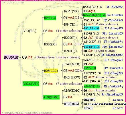 Pedigree of B68(AB) :
four generations presented