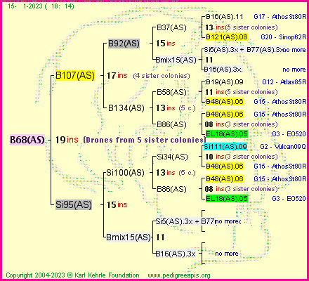 Pedigree of B68(AS) :
four generations presented
it's temporarily unavailable, sorry!