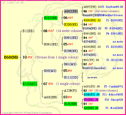 Pedigree of B68(BB) :
four generations presented