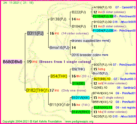 Pedigree of B68(DBM) :
four generations presented
it's temporarily unavailable, sorry!