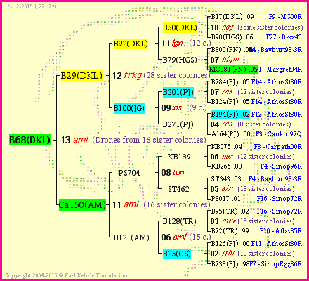 Pedigree of B68(DKL) :
four generations presented