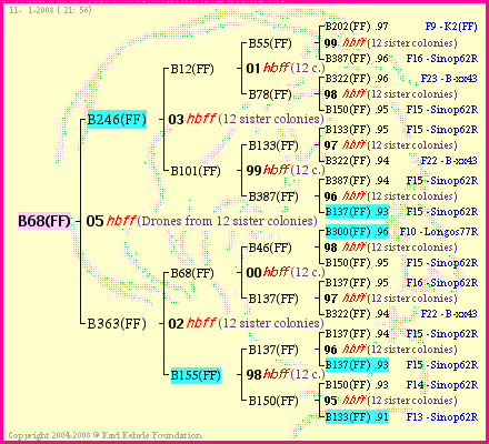 Pedigree of B68(FF) :
four generations presented