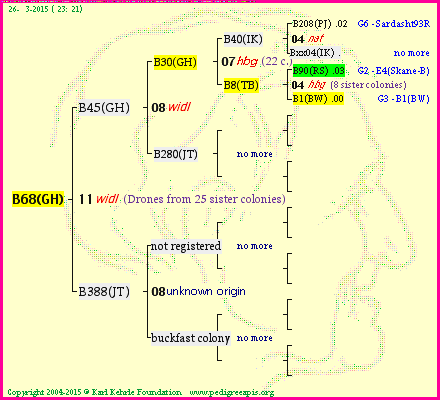 Pedigree of B68(GH) :
four generations presented