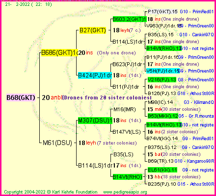 Pedigree of B68(GKT) :
four generations presented
it's temporarily unavailable, sorry!