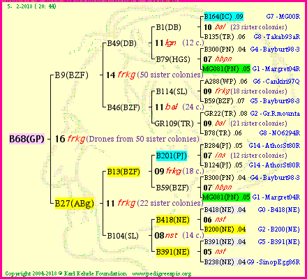 Pedigree of B68(GP) :
four generations presented<br />it's temporarily unavailable, sorry!