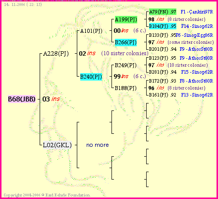 Pedigree of B68(JBB) :
four generations presented