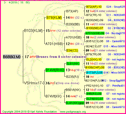 Pedigree of B68(KLM) :
four generations presented<br />it's temporarily unavailable, sorry!