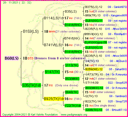 Pedigree of B68(LS) :
four generations presented
it's temporarily unavailable, sorry!