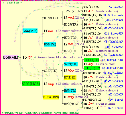 Pedigree of B68(ME) :
four generations presented<br />it's temporarily unavailable, sorry!