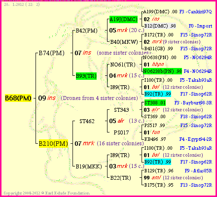 Pedigree of B68(PM) :
four generations presented