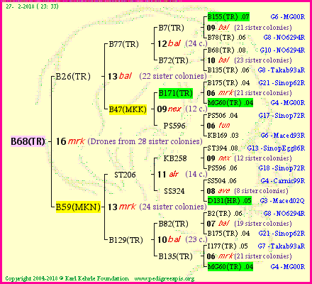 Pedigree of B68(TR) :
four generations presented
it's temporarily unavailable, sorry!