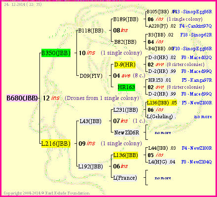 Pedigree of B680(JBB) :
four generations presented