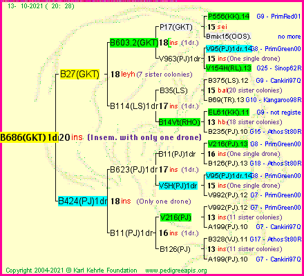 Pedigree of B686(GKT)1dr :
four generations presented
it's temporarily unavailable, sorry!