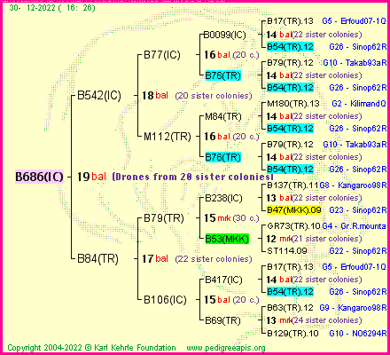 Pedigree of B686(IC) :
four generations presented
it's temporarily unavailable, sorry!