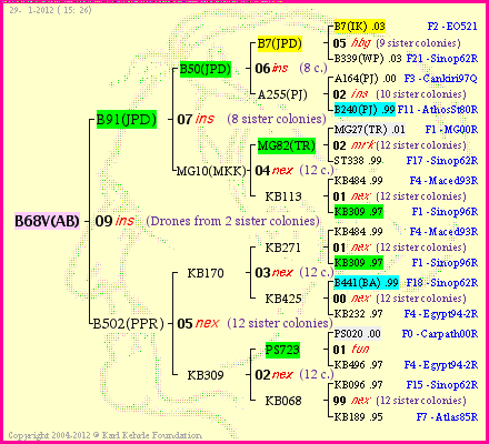 Pedigree of B68V(AB) :
four generations presented