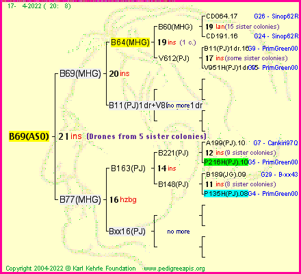 Pedigree of B69(ASO) :
four generations presented
it's temporarily unavailable, sorry!