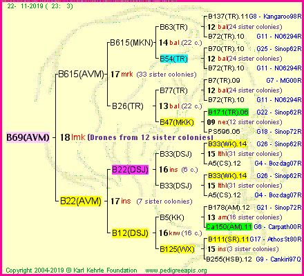 Pedigree of B69(AVM) :
four generations presented
it's temporarily unavailable, sorry!