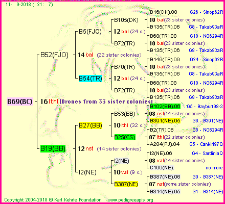 Pedigree of B69(BC) :
four generations presented<br />it's temporarily unavailable, sorry!