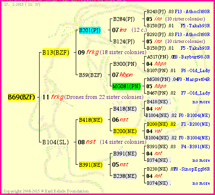 Pedigree of B69(BZF) :
four generations presented