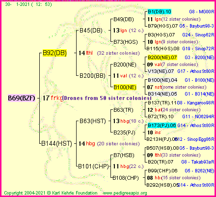 Pedigree of B69(BZF) :
four generations presented
it's temporarily unavailable, sorry!