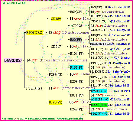 Pedigree of B69(DBS) :
four generations presented<br />it's temporarily unavailable, sorry!