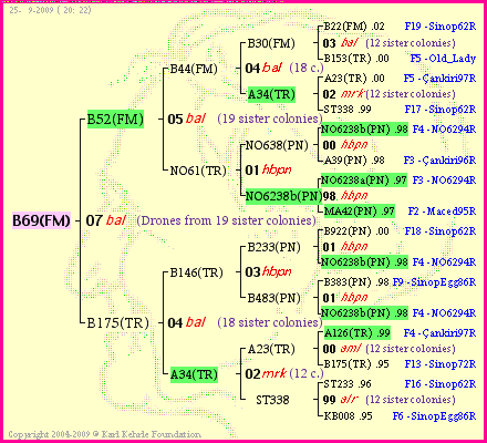 Pedigree of B69(FM) :
four generations presented