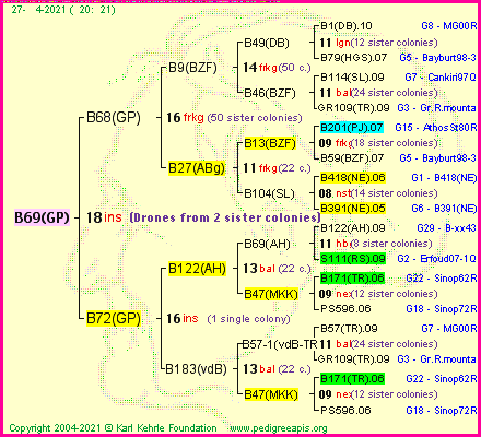 Pedigree of B69(GP) :
four generations presented
it's temporarily unavailable, sorry!