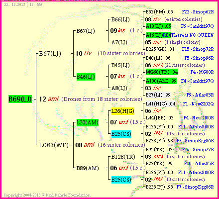 Pedigree of B69(LJ) :
four generations presented